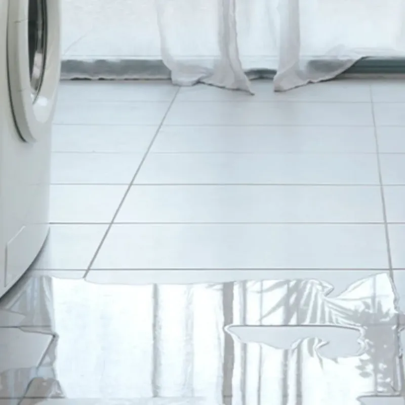 Appliance Leak Cleanup in Newberry, SC