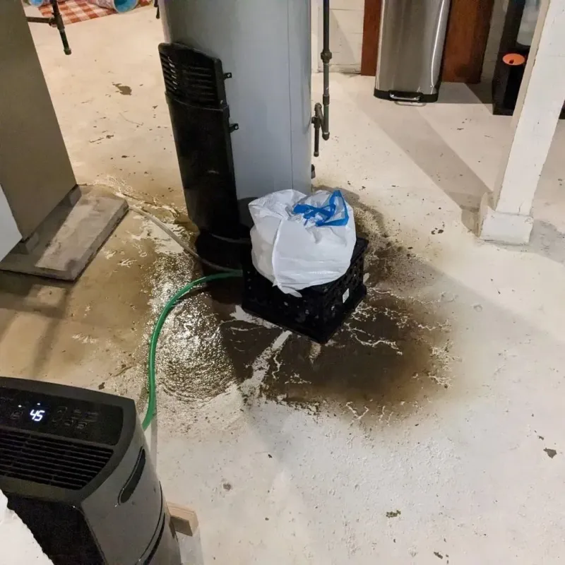 Sewage Backup Cleanup Service in Newberry, SC